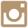 instagram-icon-gold-40-40.png