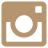 instagram-icon-gold-48-48.png